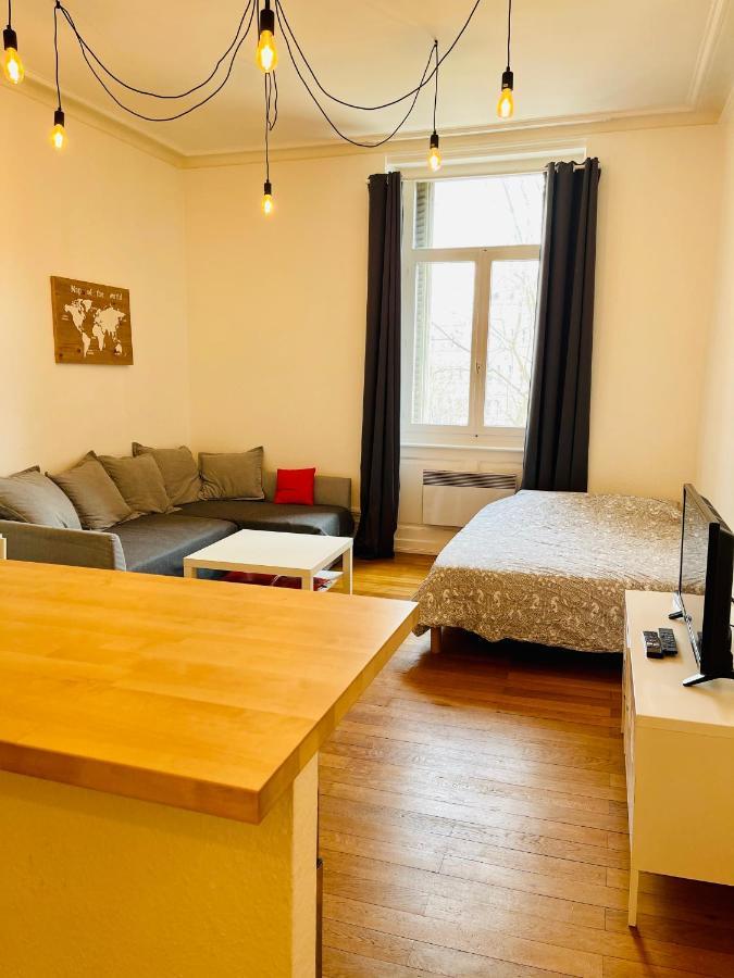 Studio Cosy De 28M2 Au Centre De Strasbourg Apartman Kültér fotó